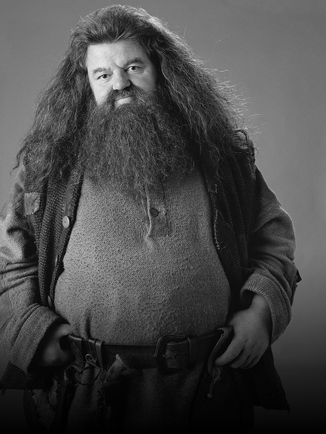 रोबी कोल्ट्रन