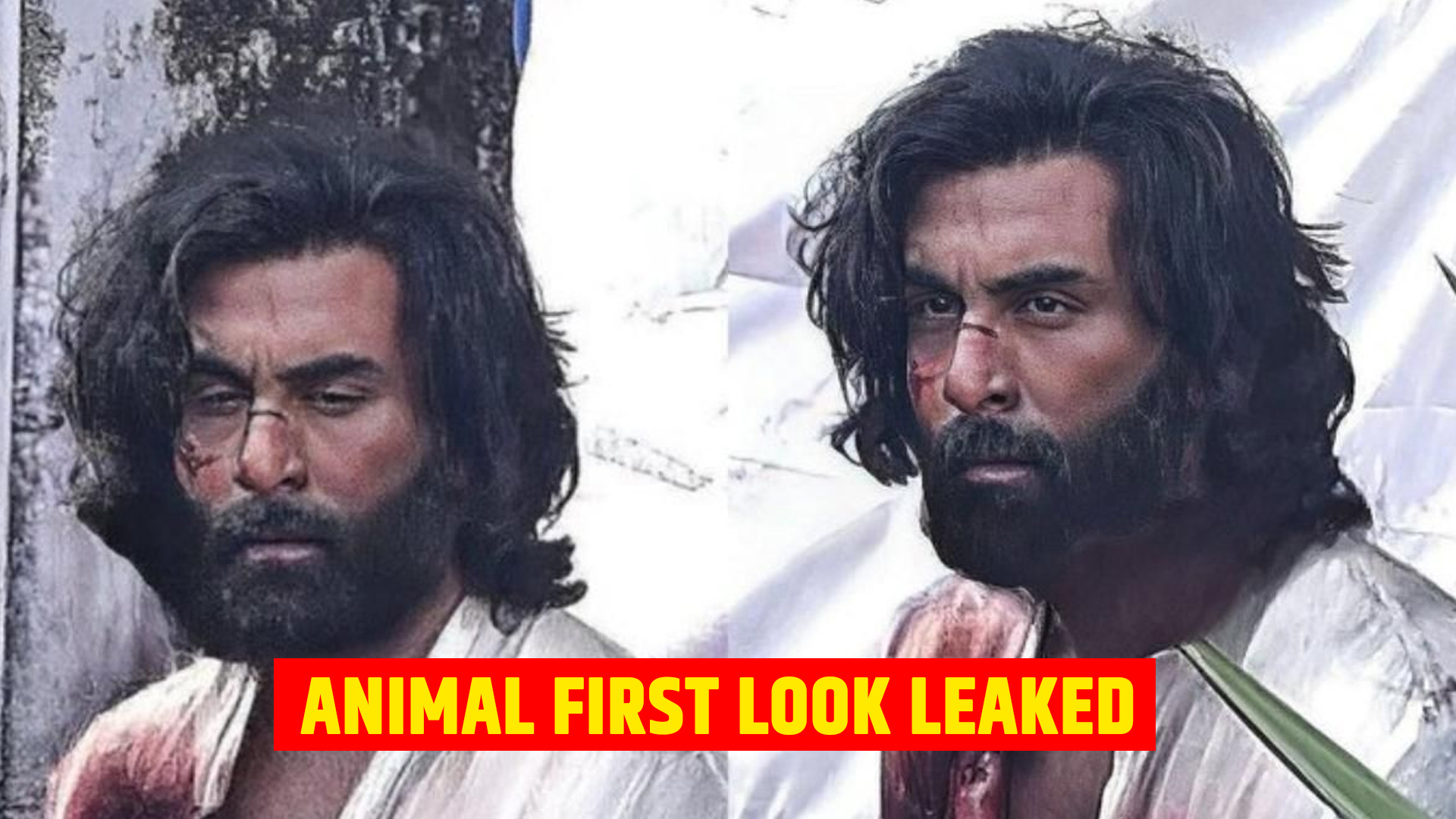 Animal Ranbir Kapoor first look