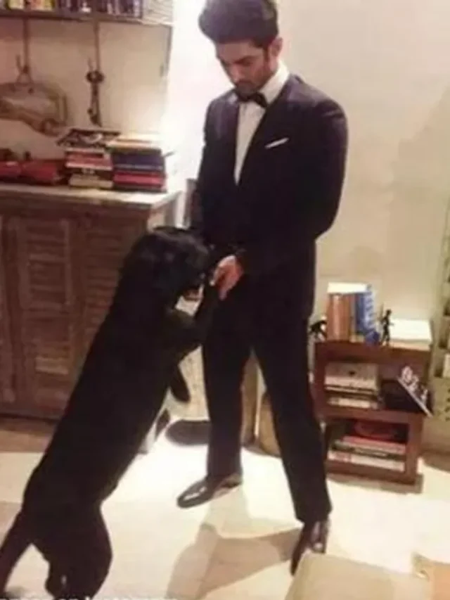 Sushant singh rajput fudge