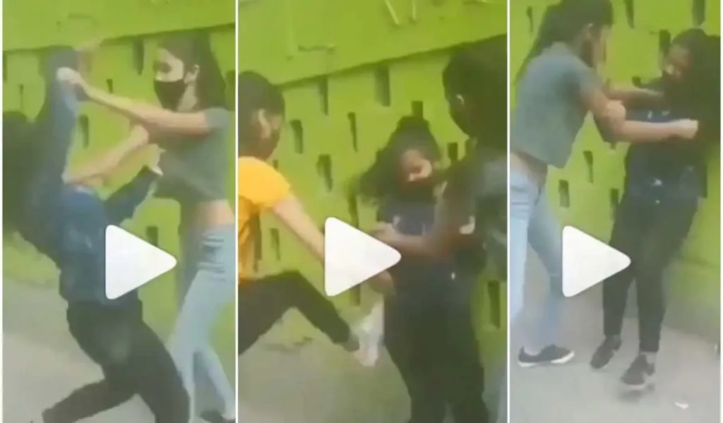 Crazy Girls Fight on Street