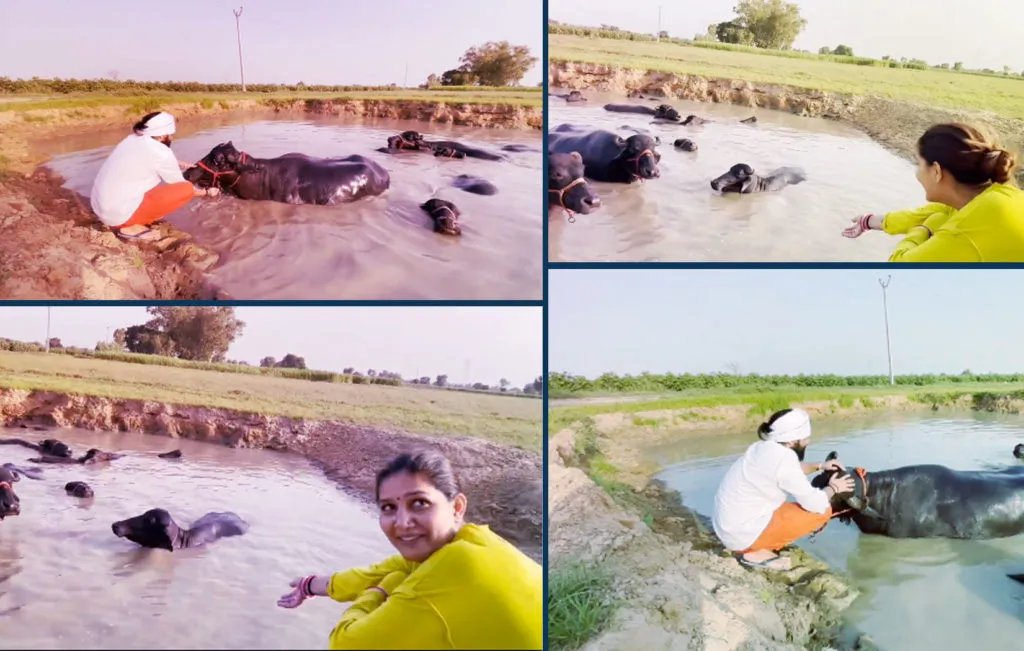 Sapna-Choudhary-mehbooba