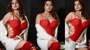 Ankita Dave Merry Christmas